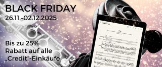 Black Friday 2025 DE